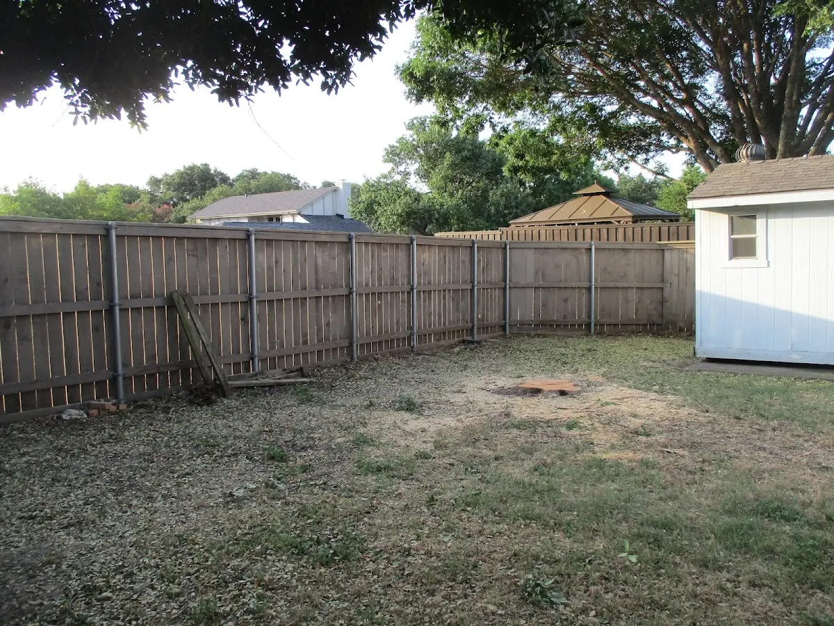 Cleared yard after professional tree removal in Etna